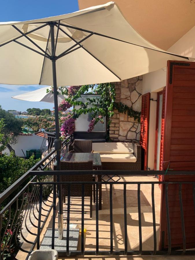 Apartman Plazs 41